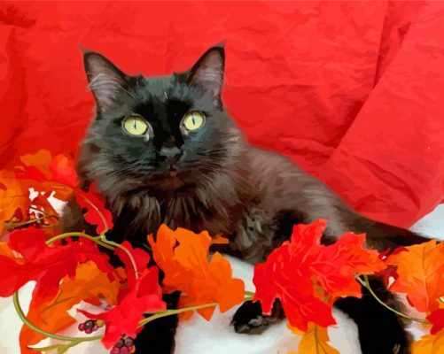 Aesthetic Black Cat With Red Flowers Paint By Numbers