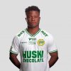 Akinkunmi Amoo Hammarby Player Paint By Numbers