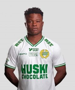 Akinkunmi Amoo Hammarby Player Paint By Numbers