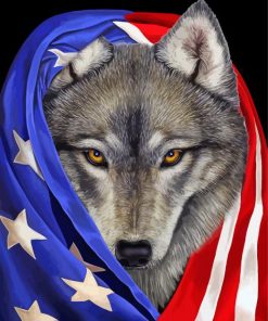 American Flag Wolf Paint By Numbers