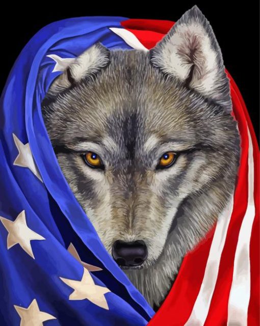 American Flag Wolf Paint By Numbers