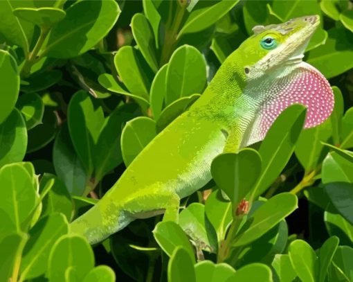 Anole Lizard On Tree Paint By Numbers