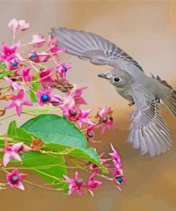 Asian Brown Flycatcher Bird Paint By Numbers