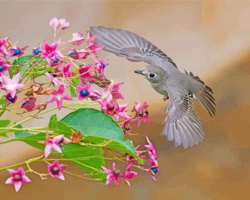 Asian Brown Flycatcher Bird Paint By Numbers