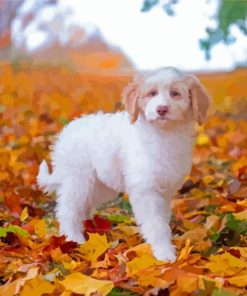 Autumn Golden Retriever Puppy Paint By Numbers