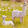 Baby Llamas Paint By Numbers