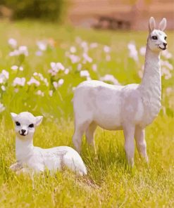 Baby Llamas Paint By Numbers