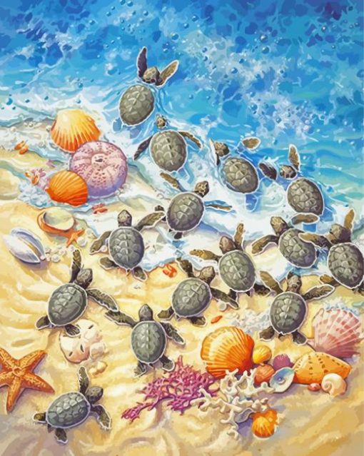 Baby Turtles And Seashells Paint By Numbers