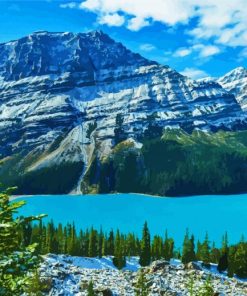 Banff National Park Peyto Lake Paint By Numbers