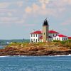 Beavertail Lighthouse Paint By Numbers