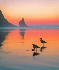 Silhouette Beach Birds Paint By Numbers