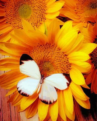 Black And White Butterfly On Sunflower Paint By Numbers