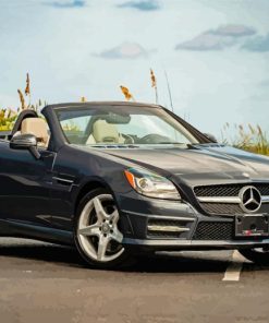 Black Mercedes Benz SLK Paint By Numbers