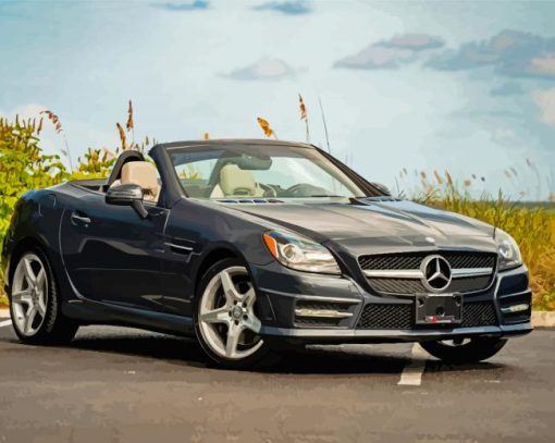 Black Mercedes Benz SLK Paint By Numbers