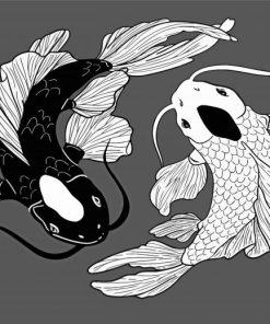 Black And White Koi Paint By Numbers