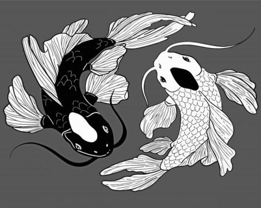 Black And White Koi Paint By Numbers