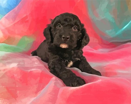 Goldendoodle Puppy Paint By Numbers