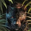 Black Jaguar Art Paint By Numbers