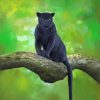 Black Jaguar Paint By Numbers