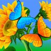 Blue Orange Butterflies On Sunflower Paint By Numbers