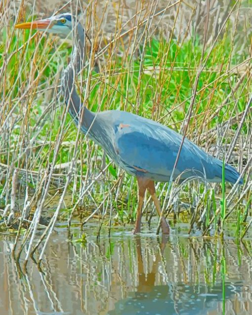 Blue Crane Bird Paint By Numbers