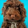 Brown Cockapoo Dog Paint By Numbers