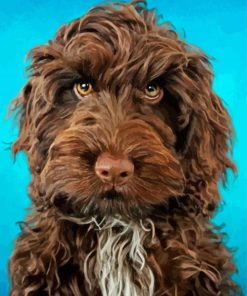 Brown Cockapoo Dog Paint By Numbers