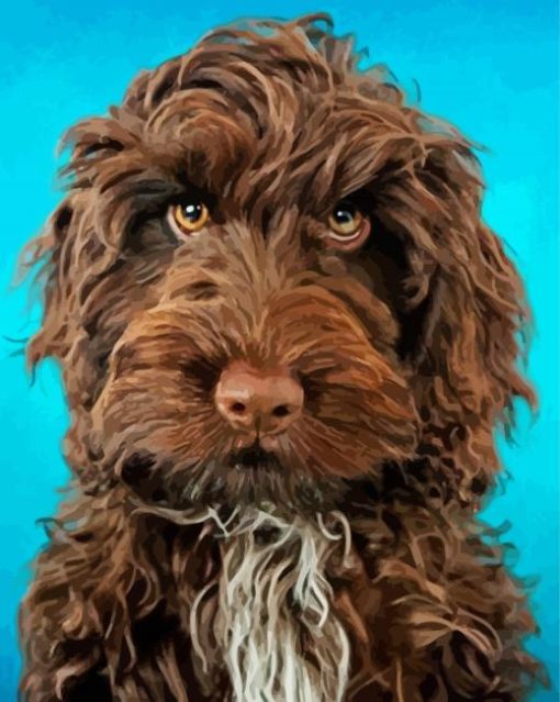 Brown Cockapoo Dog Paint By Numbers