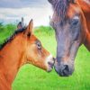 Brown Mare Horse And Foal Paint By Numbers