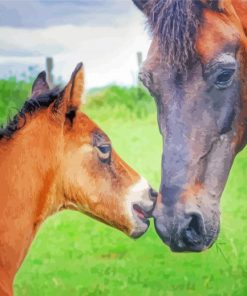 Brown Mare Horse And Foal Paint By Numbers