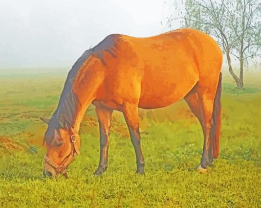 Buckskin Horses Paint By Numbers