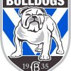 Canterbury Bankstown Bulldogs Paint By Numbers