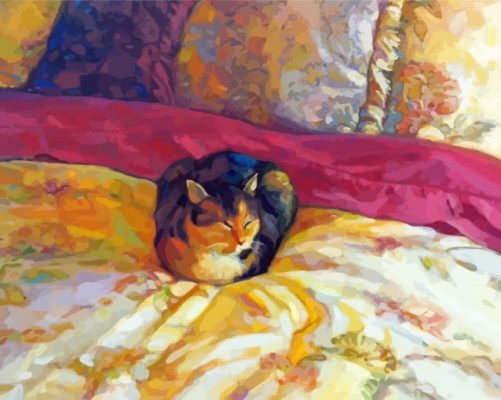 Cat Bed Paint By Numbers