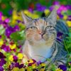 Cat In Flowers Paint By Numbers