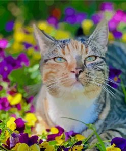 Cat In Flowers Paint By Numbers