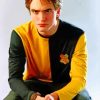 Cedric Diggory Hufflepuff Paint By Numbers