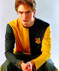 Cedric Diggory Hufflepuff Paint By Numbers