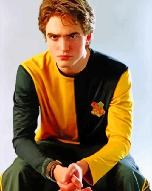 Cedric Diggory Hufflepuff Paint By Numbers