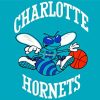 Charlotte Hornets Team Logo Art Paint By Numbers