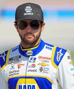 Chase Elliott Paint By Numbers