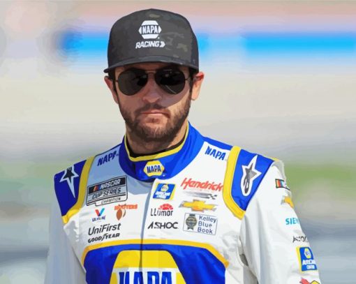 Chase Elliott Paint By Numbers