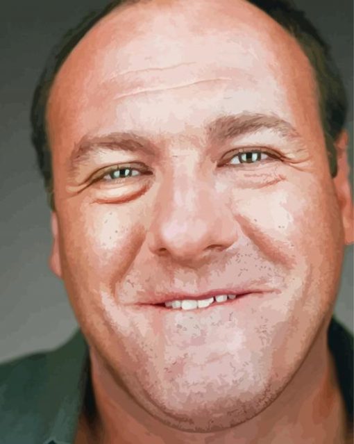 Close Up James Gandolfini Paint By Numbers