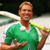 Cricket Player Shane Warne Paint By Numbers