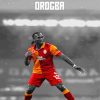 Didier Drogba Player Paint By Numbers