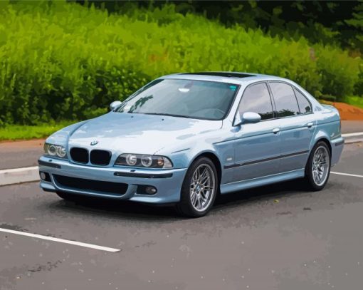 BMW E39 Paint By Numbers