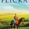 Flicka Poster Movie Paint By Numbers