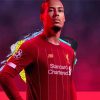 Footballer Virgil Van Dijk Paint By Numbers