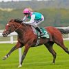 Frankel Horse Paint By Numbers