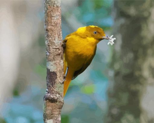 Golden Bowerbird Paint By Numbers