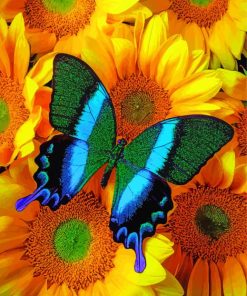 Green Blue Butterfly On Sunflowers Paint By Numbers